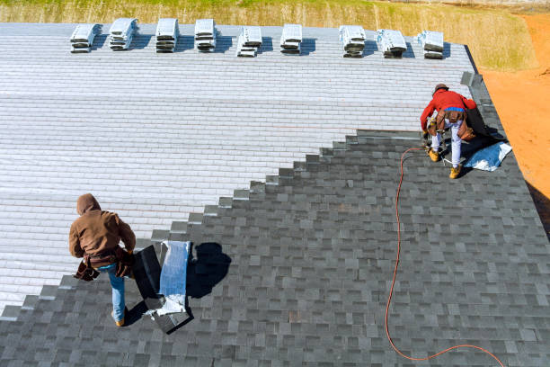 Roof Gutter Cleaning in Byrnes Mill, MO